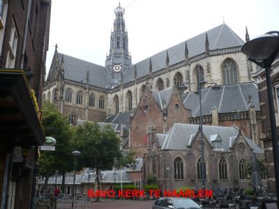 Referentieproject Dinant Vochtbestrijding Bavokerk Haarlem Noord-Holland